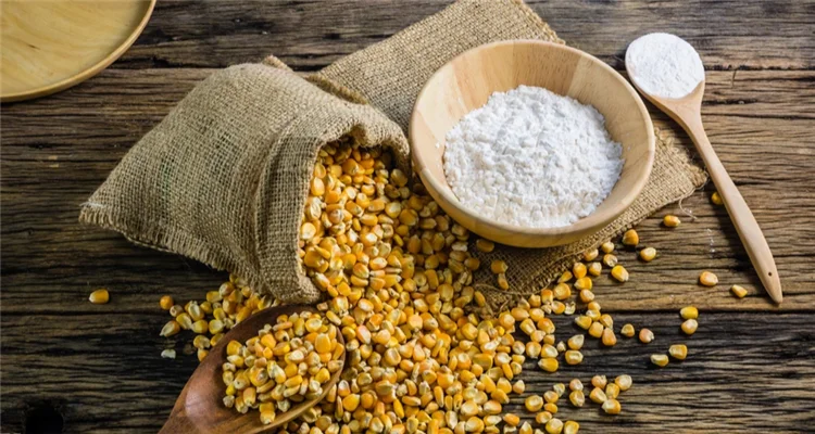 recycled polyester fabric