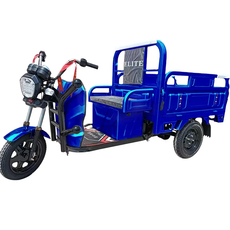 High Quality 35-85km Endurance Three-Wheel Electric Tricycle for Elderly Open Body 60v for Cargo Passenger Use EEC DOT Certified