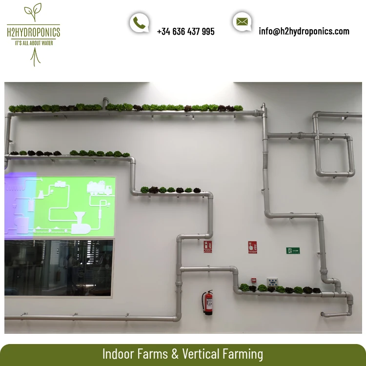 
Spain Best Selling Vertical Pipe Hydroponic System for Plant Growth 