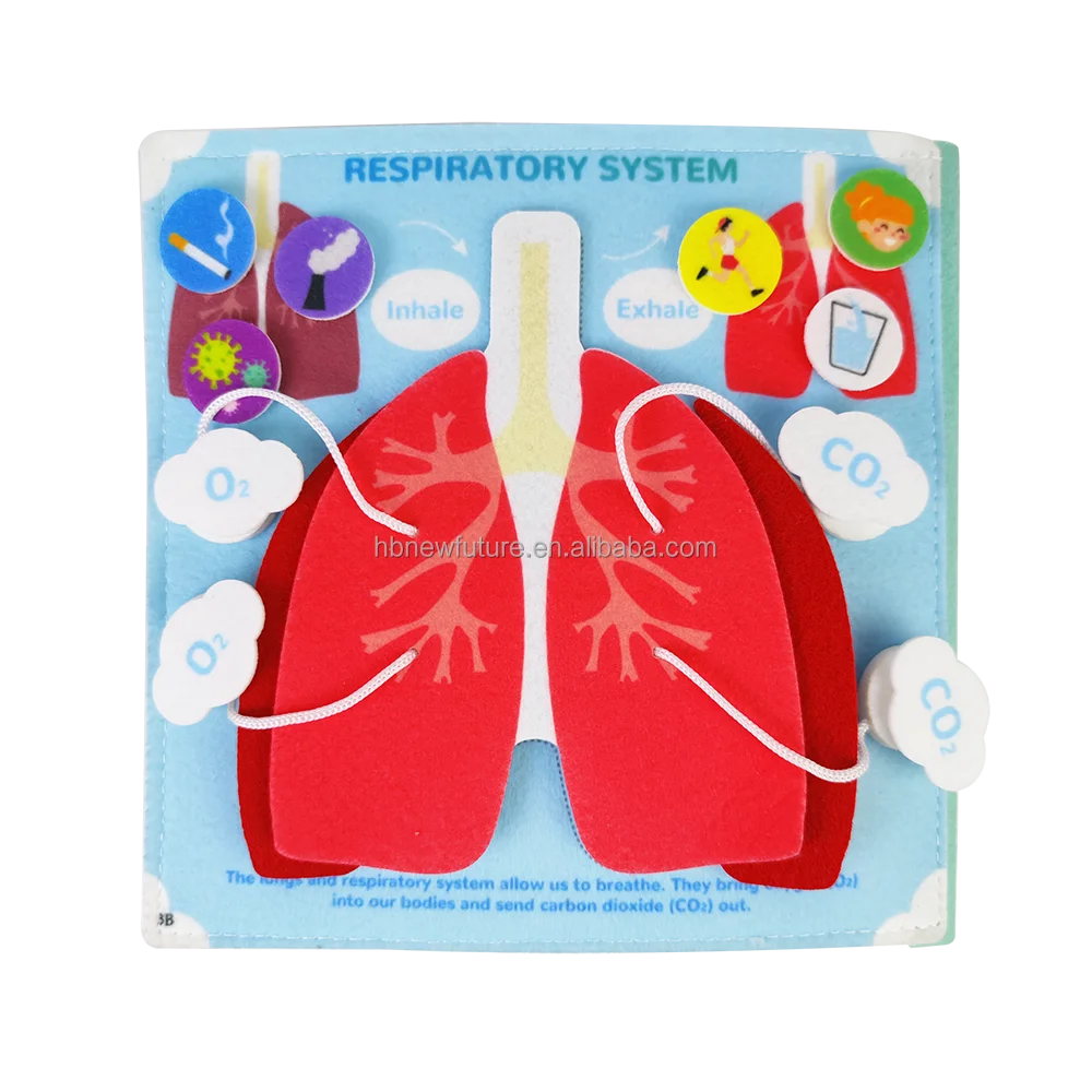 New Design busy book Early childhood education fabric science Human body Anatomy books learning about body structure for kids