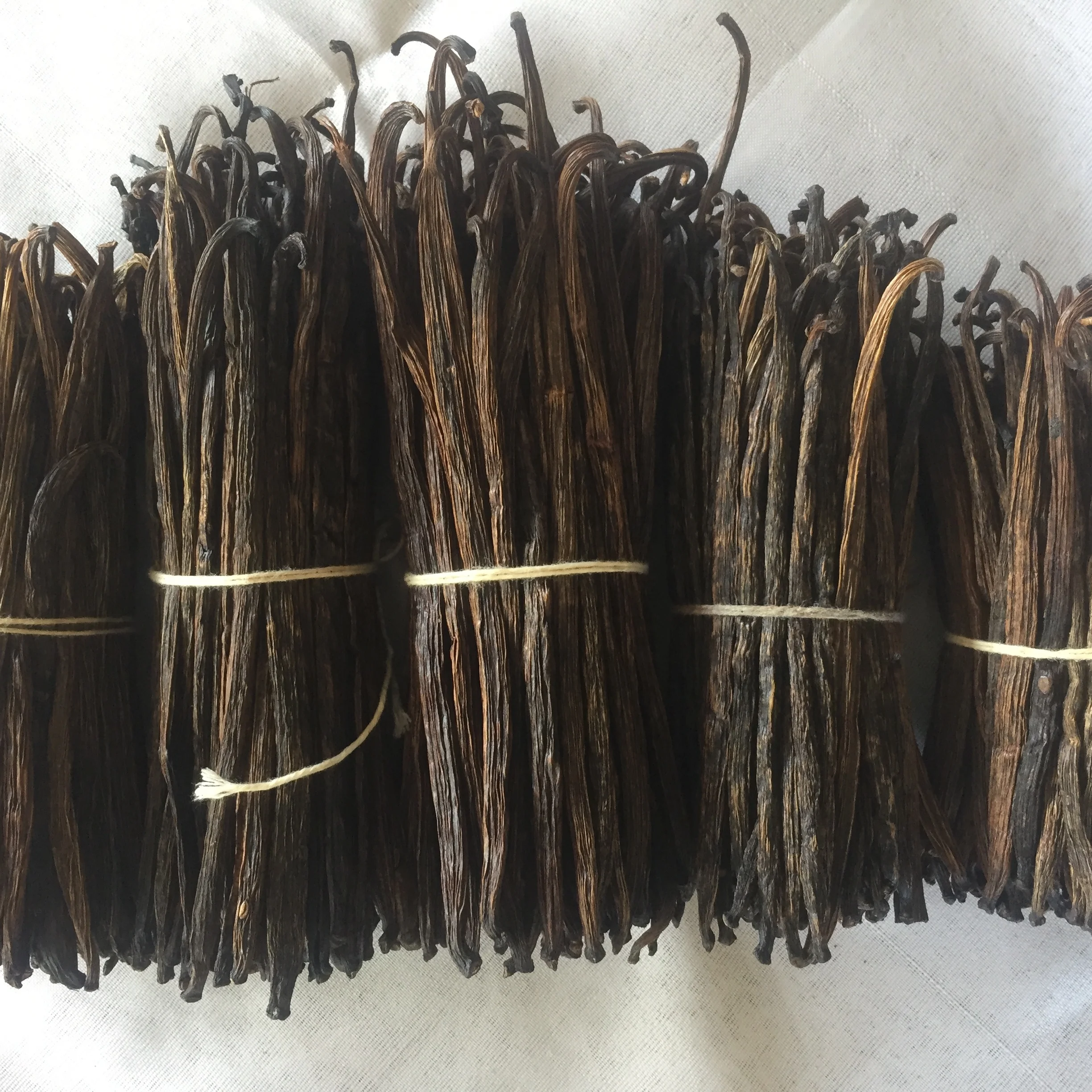 RENDAH PLANIFOLIA GRADE-3 16-17 CM VANILLA BEANS for EXTRACTION Hot Selling Indonesian Best Quality Bourbon with Best Price