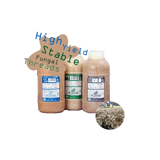 Свежая японская бутылка для выращивания плюуса, выращивание грибов