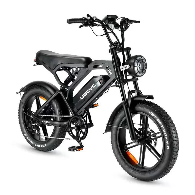 Electric Fat Bike 20-Inch Aluminum Alloy 500W 750W 1000W 48V Lithium Battery 7 Speed Rear Hub Motor Electric Mountain Bike