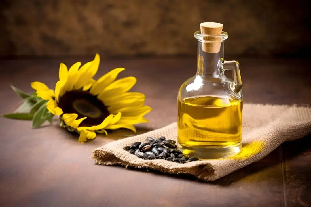 Vegetable Edible Rapeseed Soybean Peanut Oil Refining machine HJ-JLYJ200 Mustard Sunflower Cooking Oil Refinery plant