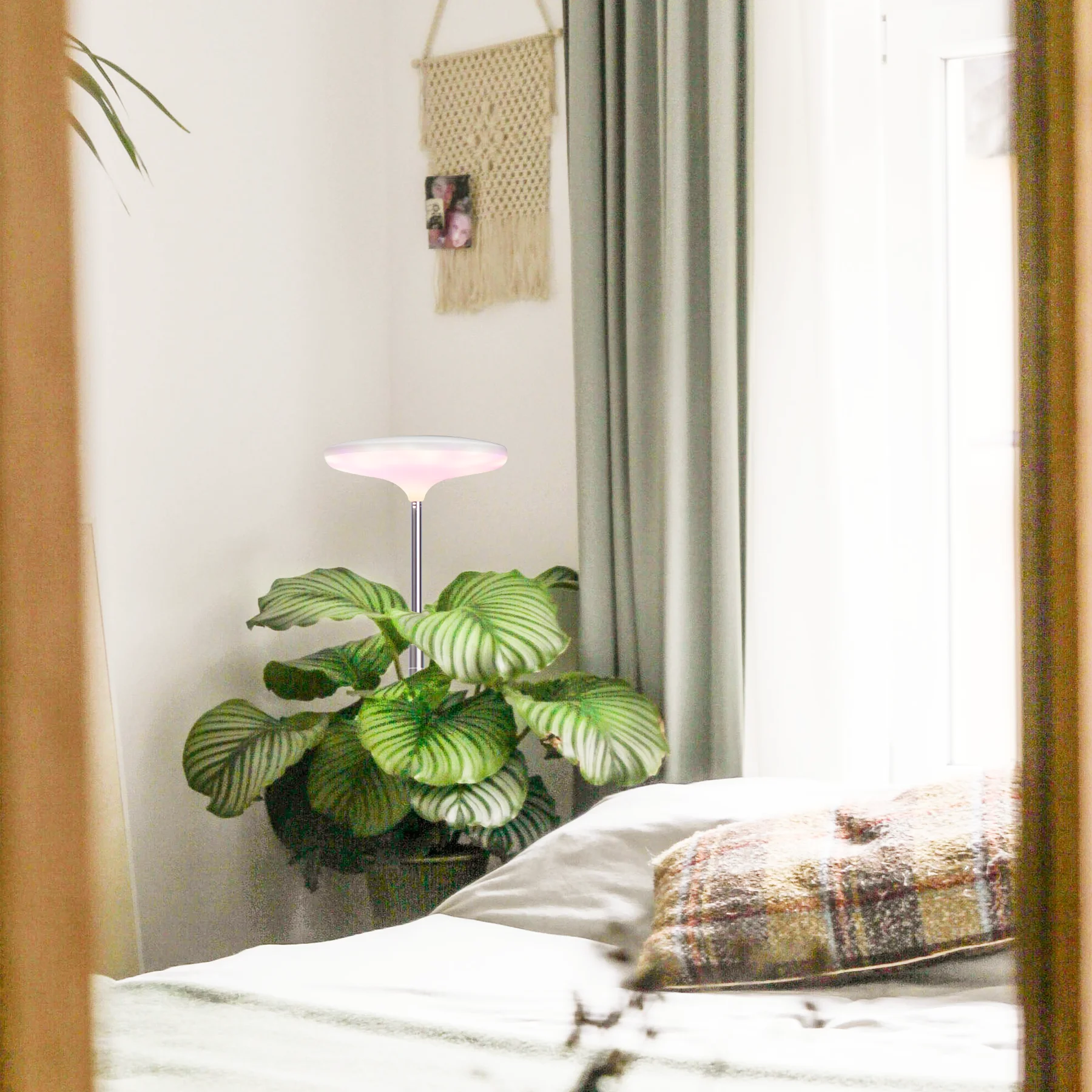 J&C Full Spectrum Led Grow Light Height Adjustable Plant Halo 14W Indoor Plant Lamp for Living Room Office Large Tall Plants