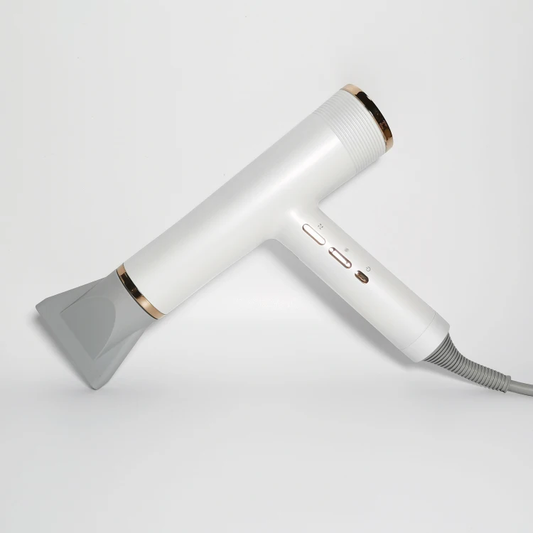 Factory Price Best Price Private Label Professional Hair Dryer Salon Hair Dryer Ionic