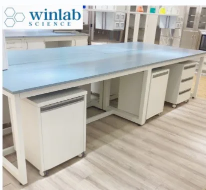 Student Chemical Physical Science School Laboratory Workbench Modern Chemistry Laboratory Equipment School Science Lab Furniture
