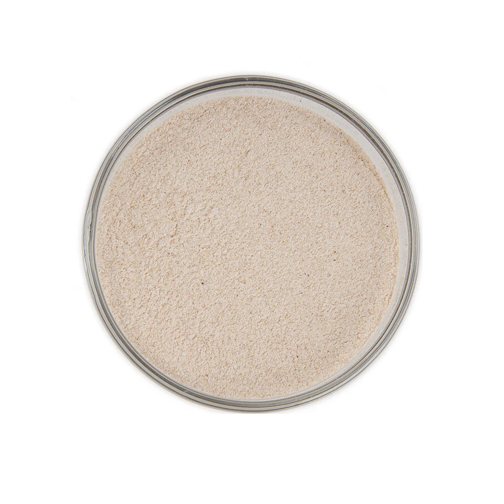 High quality Food Ingredient Enzyme TG Transglutaminase For Dairy