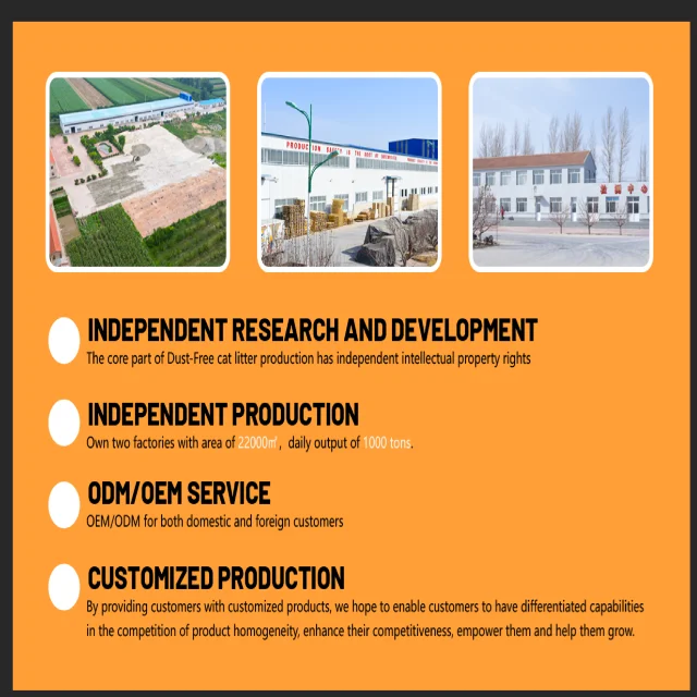Strong Adsorption 10 Litter Ball Shaped Low Dust Cat Sand Clumping Colour Granule Clay Bentonite Cat Sand For Cat