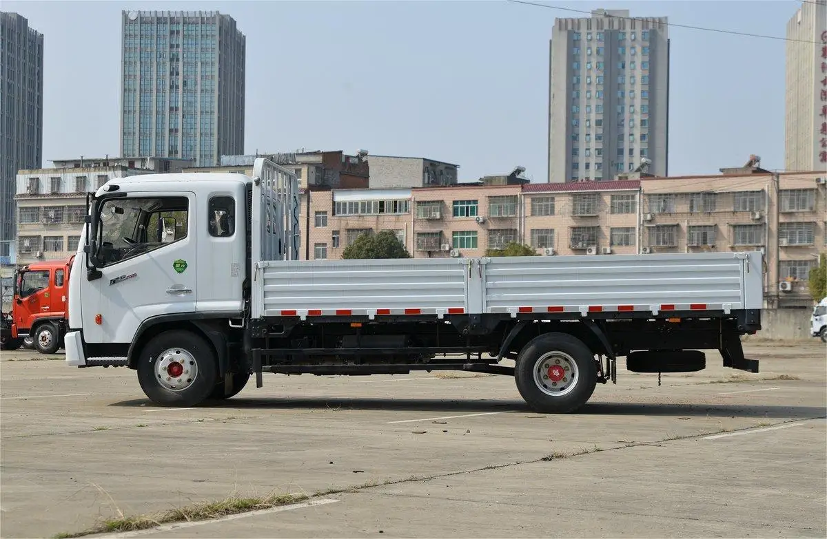 Dongfeng/JAC/Isuzu 4X2 Light Duty Commercial Trucks 3 Ton Capacity Tipper Cargo Truck Isuzu Light Duty Cargo Truck