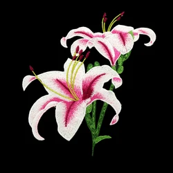 Прямые продажи с фабрики, индивидуальные нашивки для одежды, нашивки с вышивкой на заказ, Индивидуальные Дизайнерские нашивки с цветами