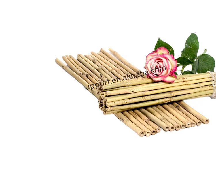 Made in china superior quality high quality cane bamboo support