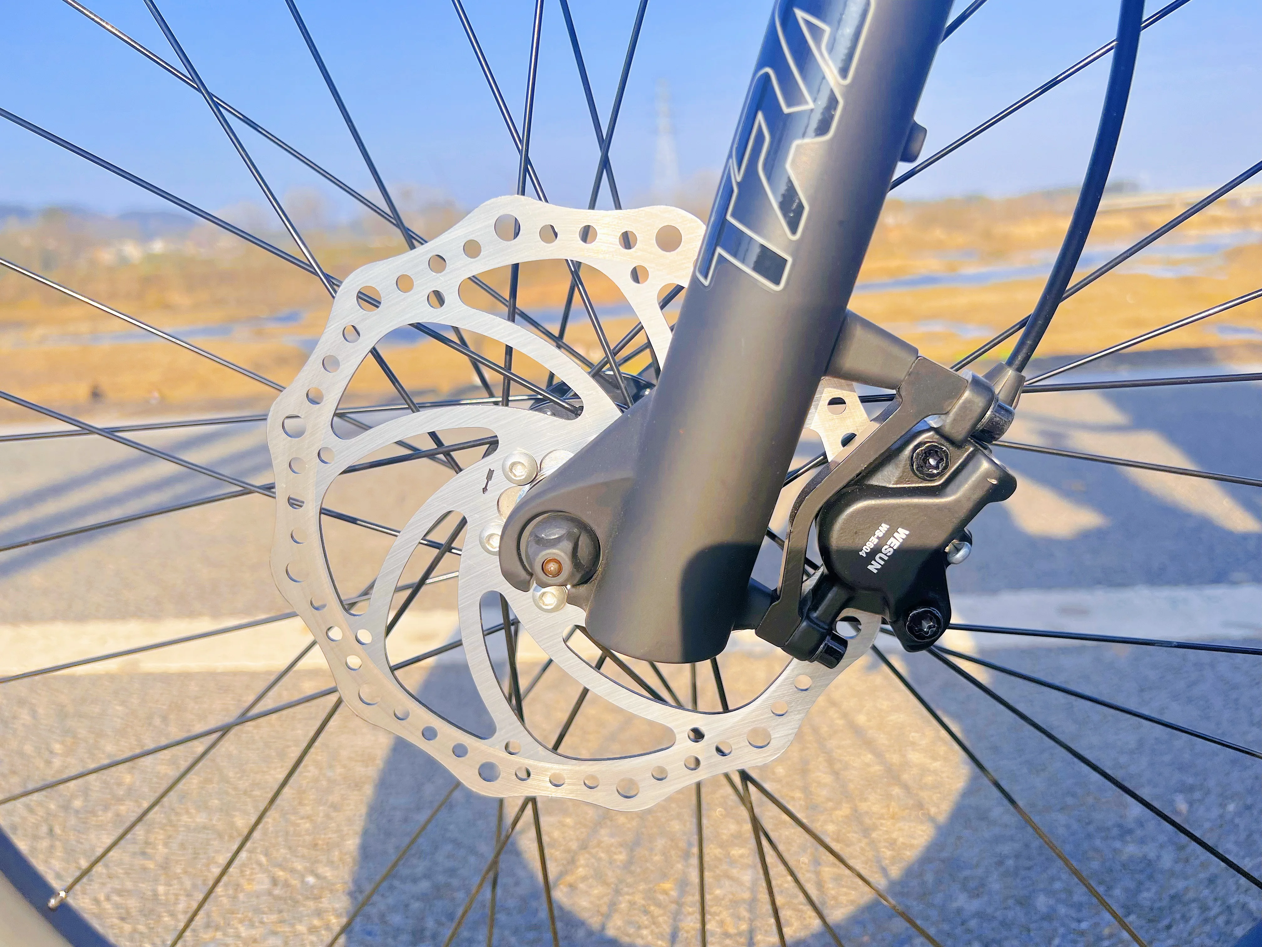 TLOFAO mountain motor 36v 250W electric bicycle suspension disc brake electric bike 7-speed electric mountain bike