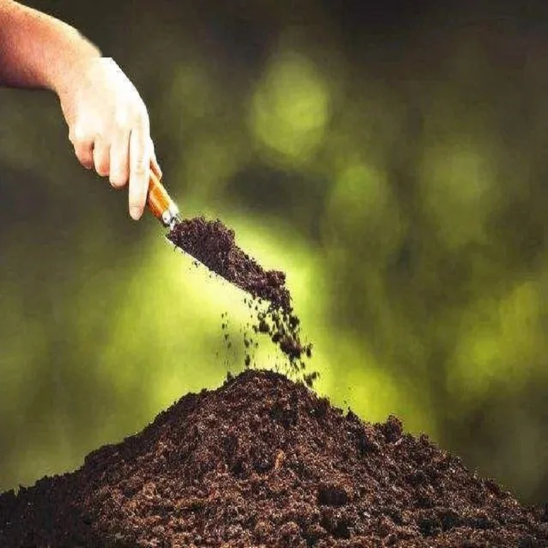 Fertilizer Manure Additive Trimethylamine-N-oxide 2-hydrate 98% TMAO CAS 62637-93-8 Nature Agriculture Field Crops
