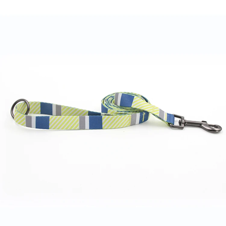Puppy multi stripes step in sublimation designers dog harness and leash set