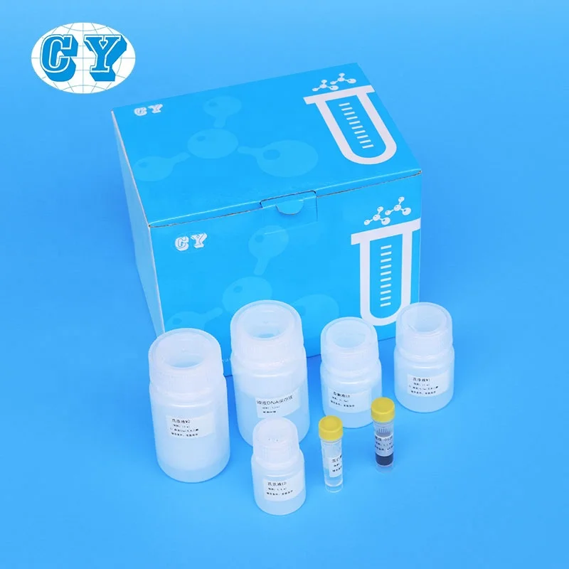 magnetic bead  Nucleic acid extraction kits RNA Isolation DNA purification  lab reagent