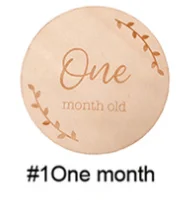 Baby Monthly Milestone Wooden Engraved Photo Props Discs Cards Baby Boy Girl Baby Shower Newborn Gifts Kids Age Pictures