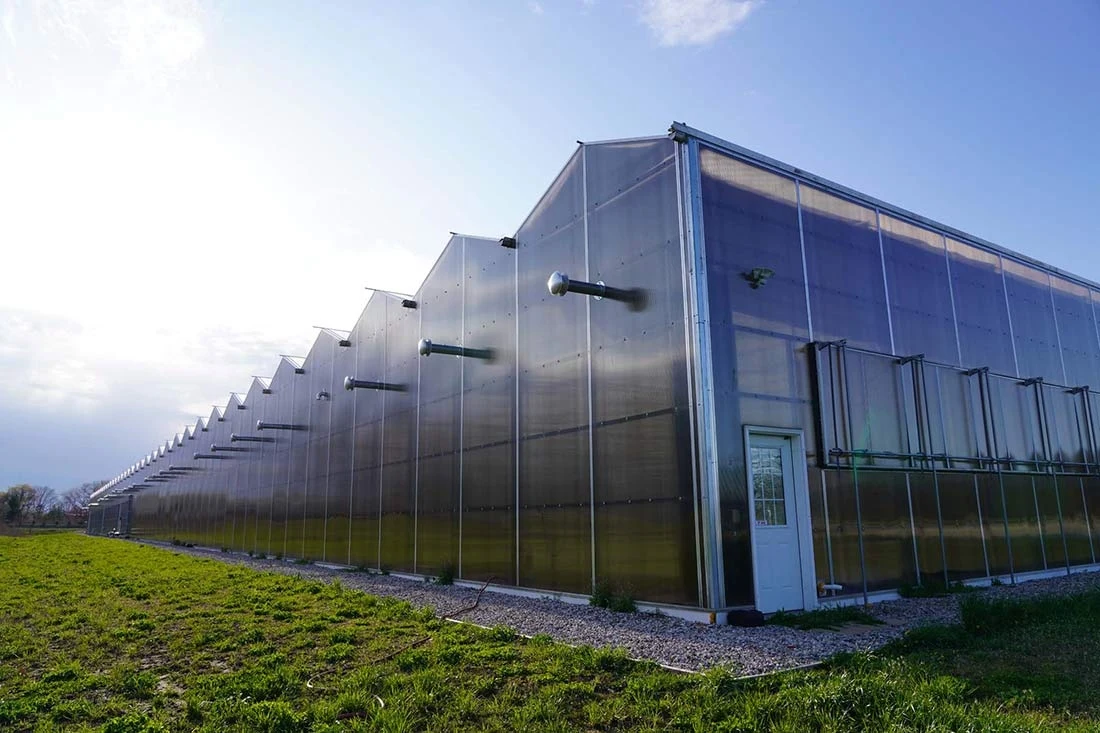Venlo Commercial Agricultural High efficient venlo cheap intelligent agriculture multi-span glass hydroponic greenhouse