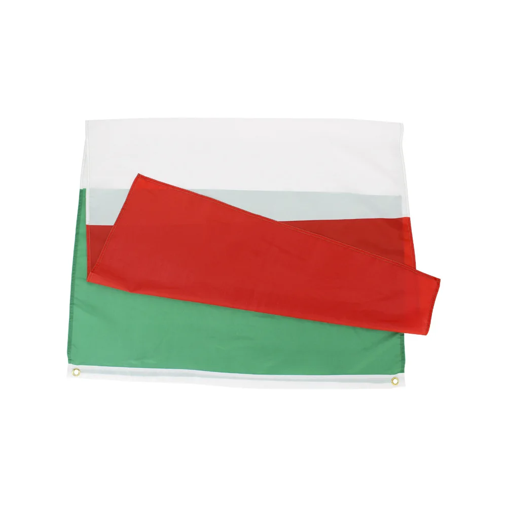 Наружные национальные флаги с логотипом на заказ двойным боковым принтом 3x5 флаг красный белый зеленый итальянский всех стран для демонстрации