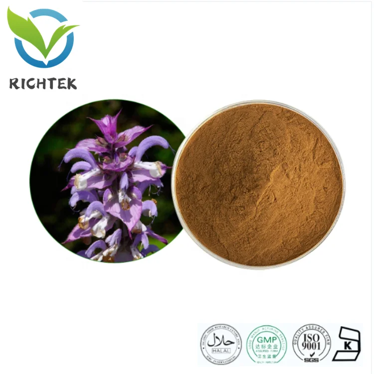 Оптовая продажа натуральные добавки 2% 10% экстракт Ajuga Turkestanica 100% чистый порошок туркестерона для увеличения мышц
