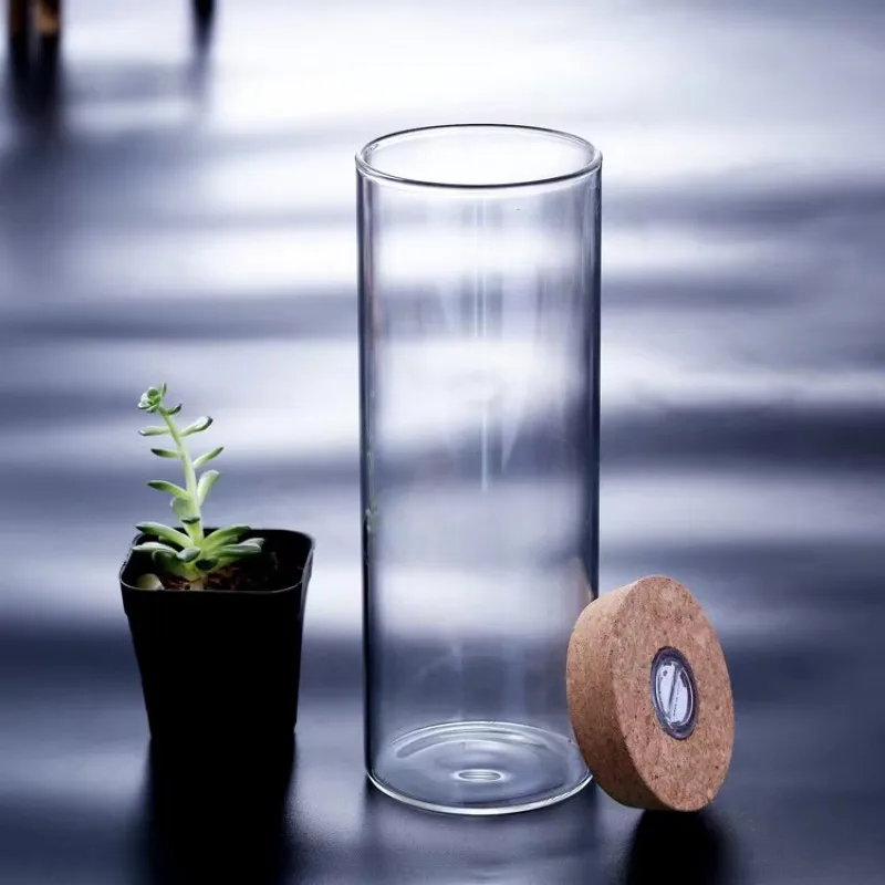 Nordic Tall Cylinder Clear Glass Vase Home Decor Wedding Desktop Micro Landscape Tree Bonsai Small Tabletop Vase Transparent
