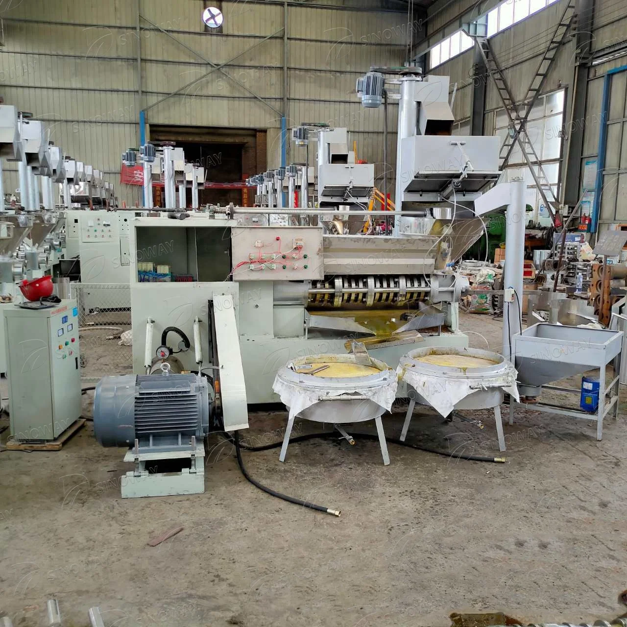 Крупногабаритный прижимный экстрактор масла холодной ладони красной пальмы арахиса кокоса оливкового