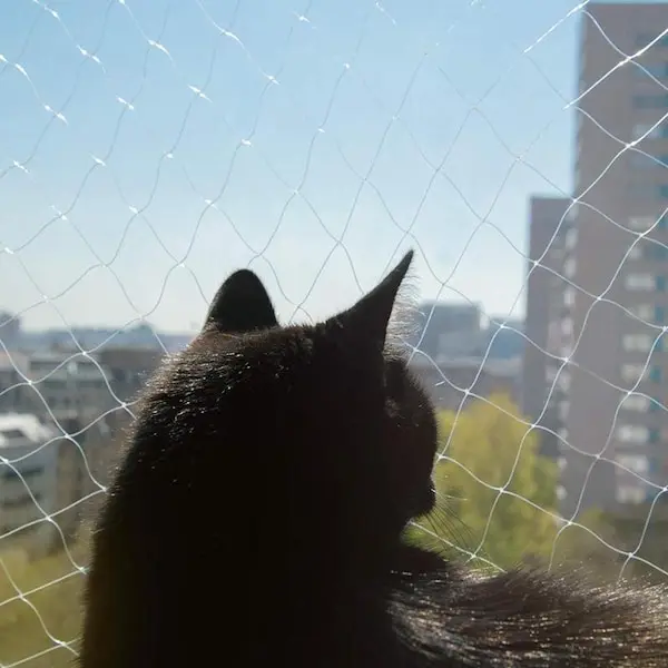 cat protection net transparent cat safety net balcony safety net for cat