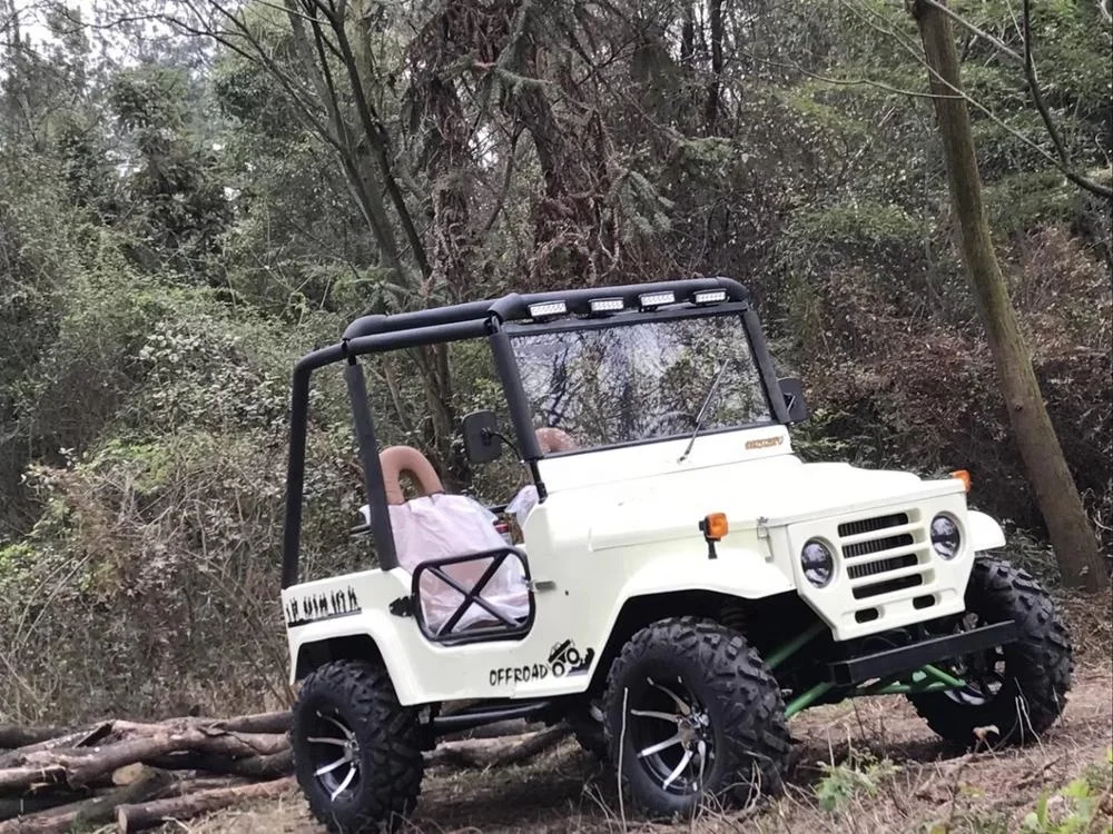 
Hot Sell 4 Seats Electric Jeep 3000W UTV Buggy For Adult 