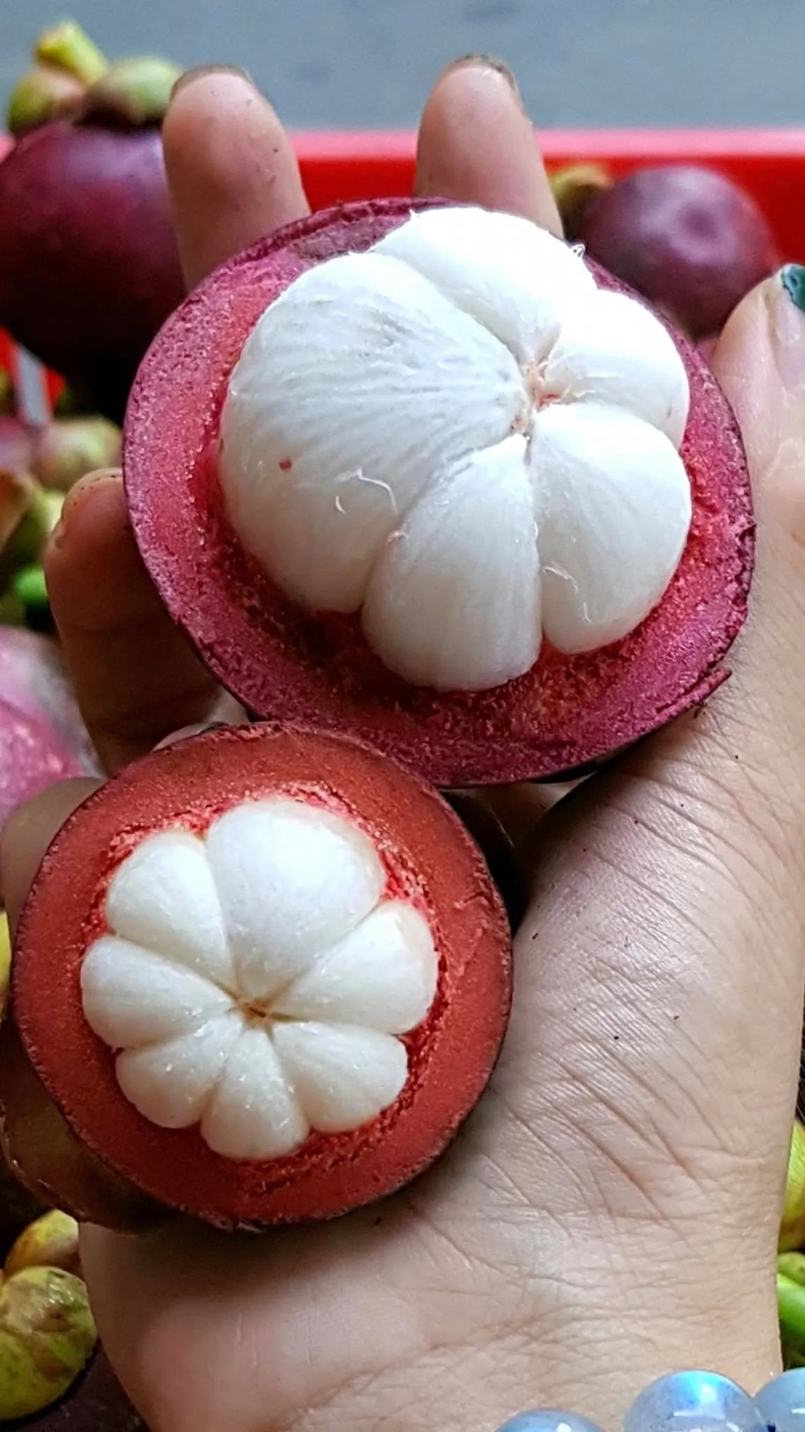 HIGH QUALITY 100% FRESH TASTY MANGOSTEEN FRUIT SPECIAL FROM VIETNAM WITH COMPETITIVE PRICE
