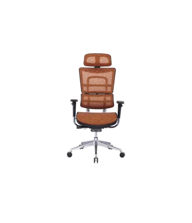 High Quality Ergonomic Office Chair with High Back & Swivel Mesh Aluminum Base Adjustable Lumbar Support