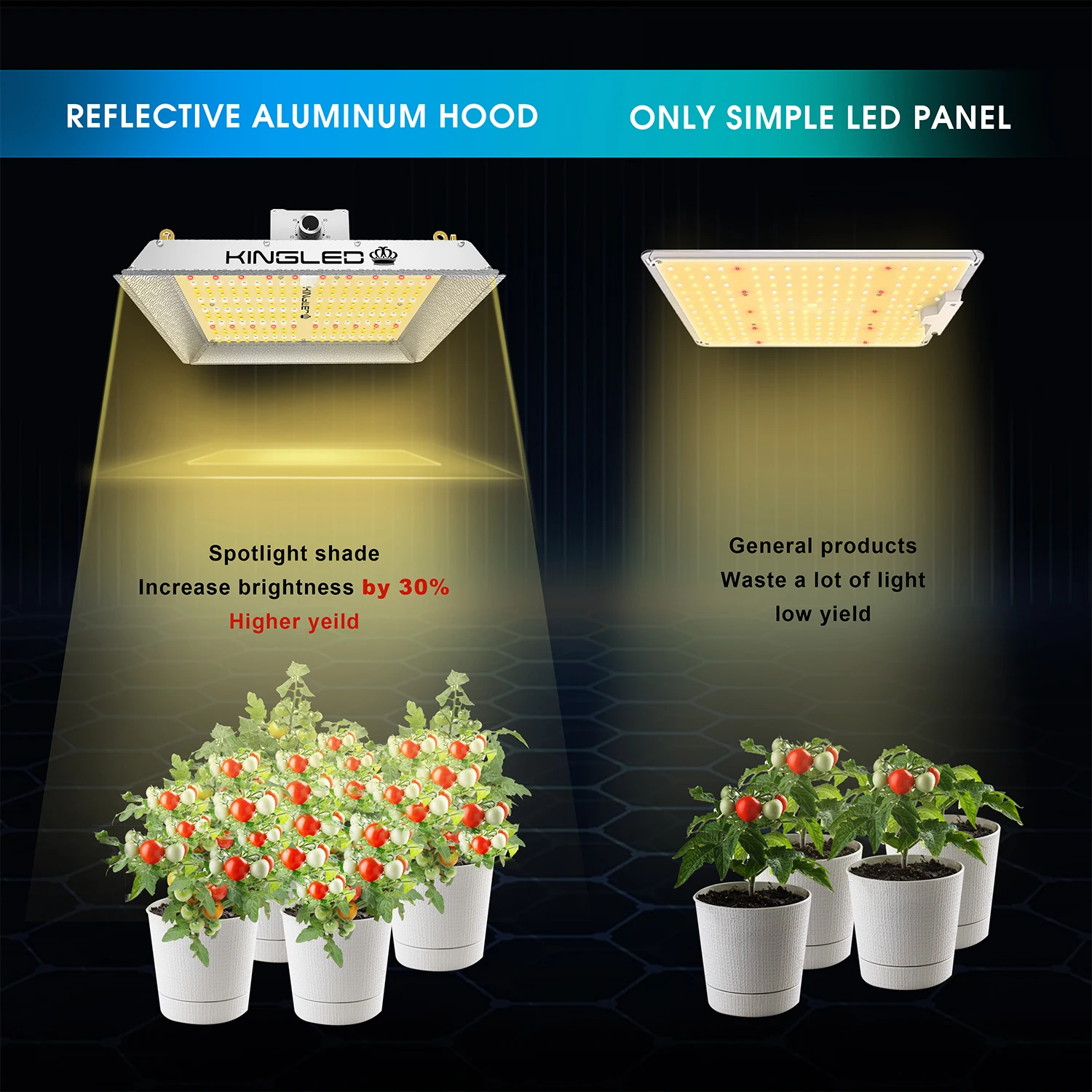 
KINGLED Grow Lights 1000W Full spectrum Hydroponics greenhouse Led Grow Light for indoor plant dimmable quantum grow light 