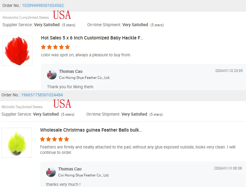 Crafts Halloween Costume Headbands DIY Wedding Decor Hat Fascinators Dyed Natural Goose Feather Pads for Women Hats Millinery