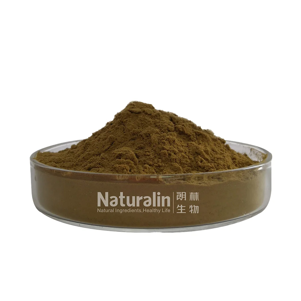 Naturalin  Organic Customized  Ganoderma Lucidum (Leyss ex Fr.) Karst 20% polysaccharide UV Ganoderma Extract Powder