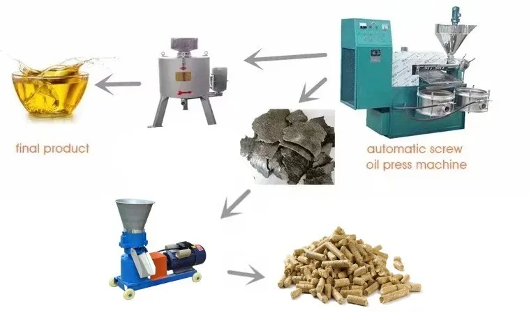 400 kg per hour coconut cold  oil filter  press machine sunflower oil press machine