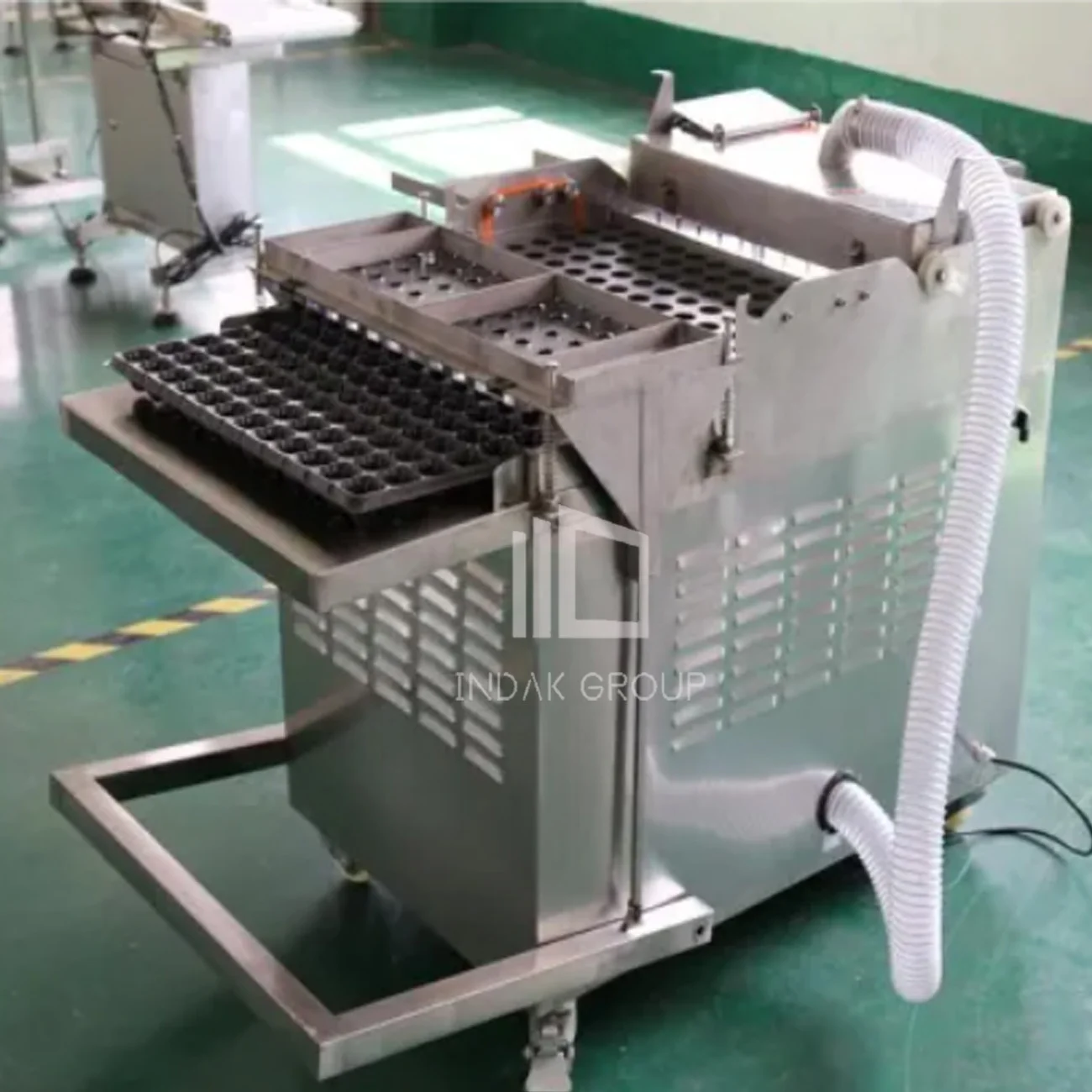 Tomato seeds tray seeding machine from Zhengzhou Rephale, China.