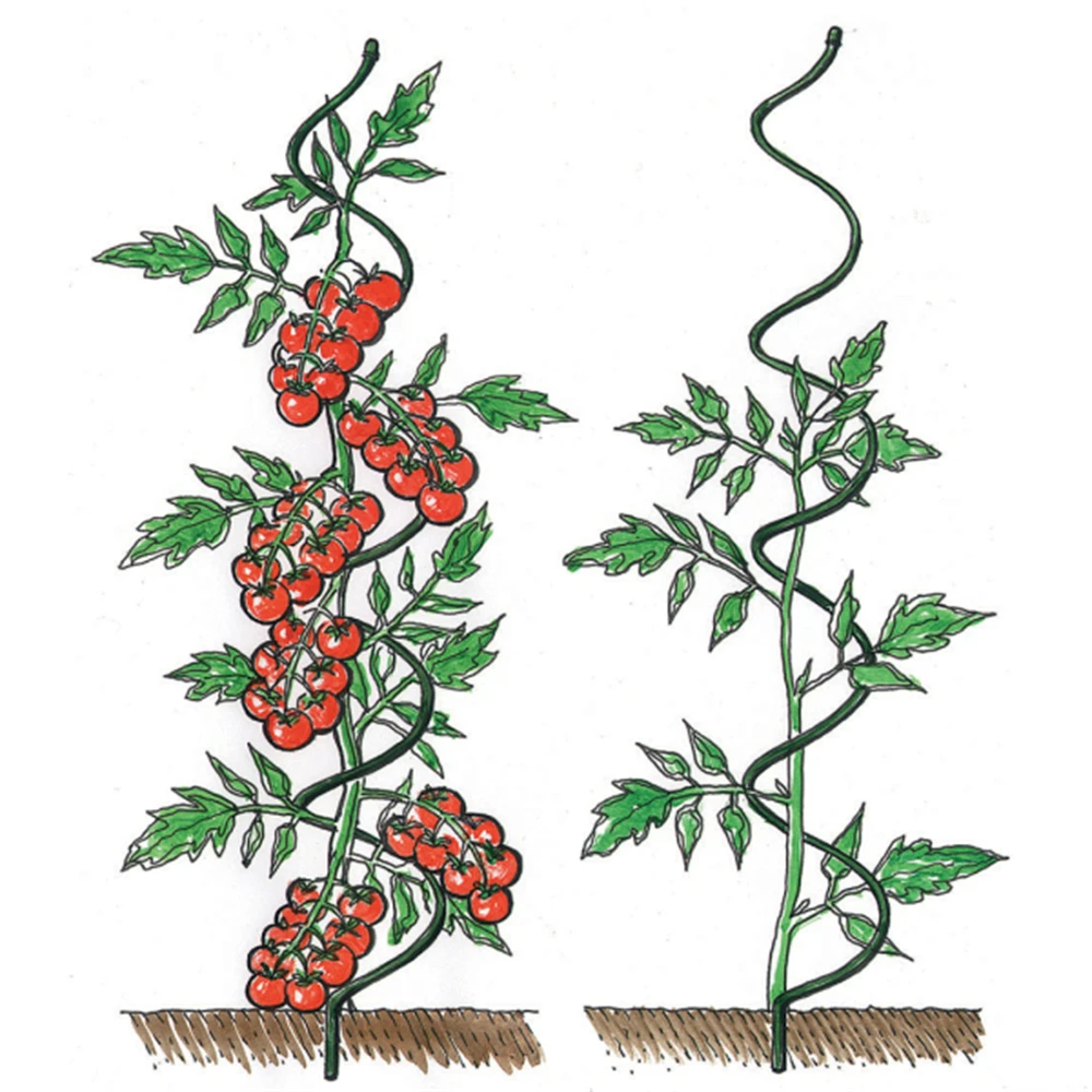 Spiral-Shaped Support Rod for Tomatoes and Climbing Plants Garden Plant Tomato Cage and Decoration tomato spiral rod