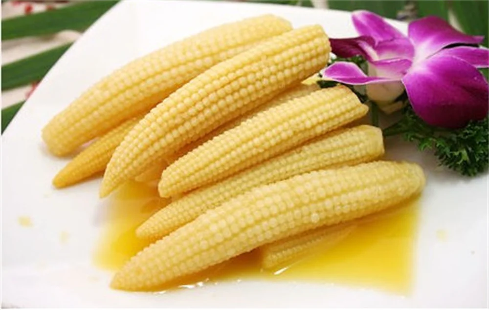 KWS Light sweet taste canned baby corn young corn from China