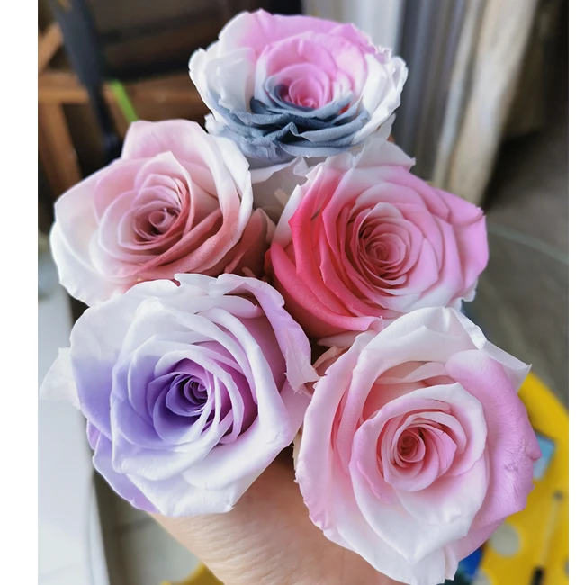 Dubai fresh cut flower bouquet Beautiful Rainbow Preserved Flower stabilized rose wholesale