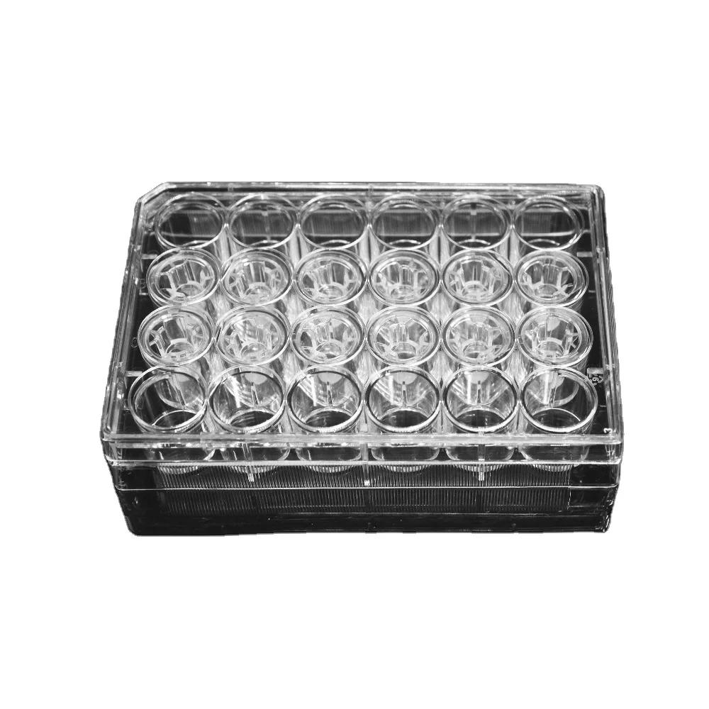 6.5 mm Transwell with 0.1 um Pore Polycarbonate Membrane Insert, Sterile