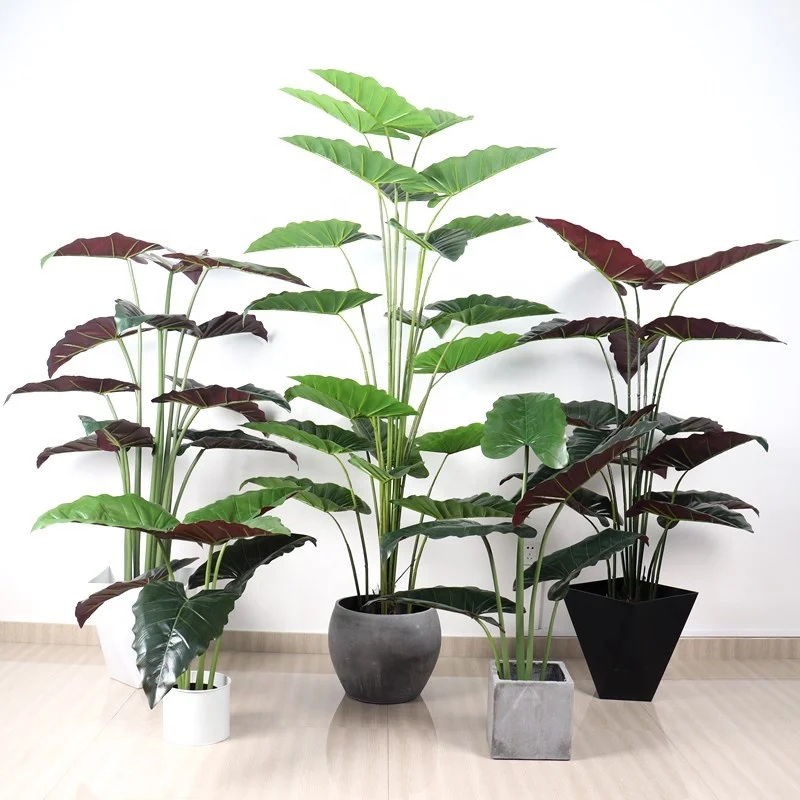 Wholesale For Interior Decoration Large Evergreen Plant Plastic Calla Bonsai Tree