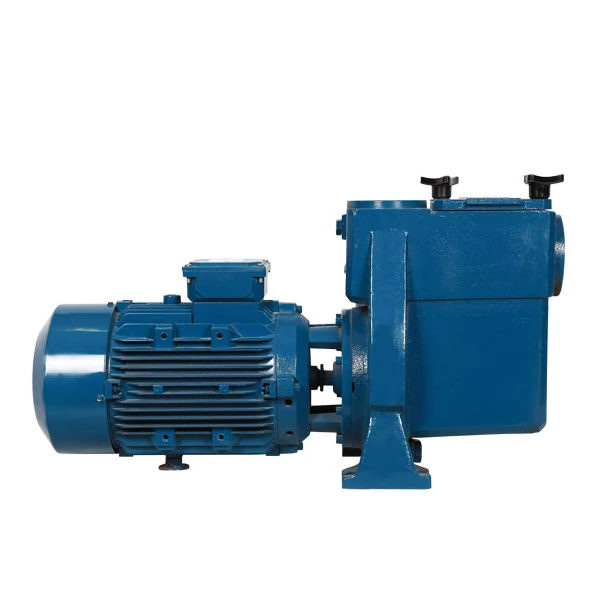 Acero inoxidable bomba d agua alta prescion piscina filtracion bombear