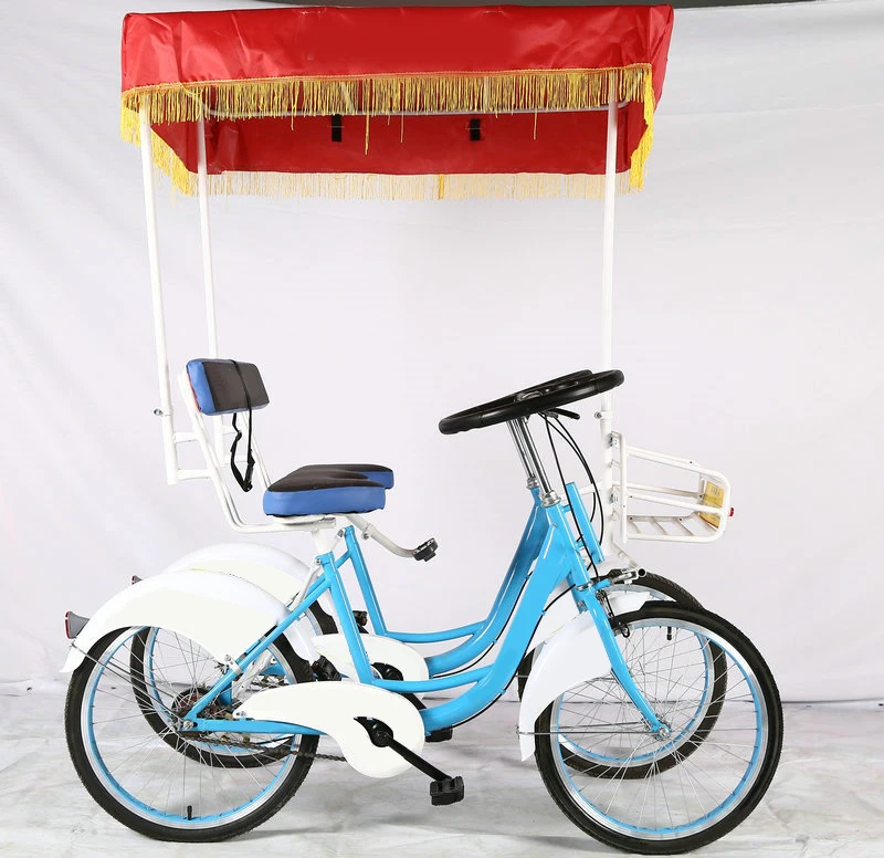
Side-by-side/two/double seat bicycle/Travel/Public green bicycle double freewheel 