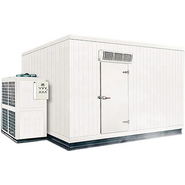 Made In China Save Powered PU Panel Door Storage Cold Room Price from Manufacturer