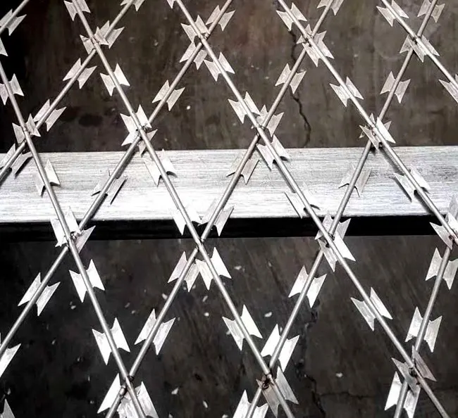 2022 Stainless Steel Galvanized Steel Razor Barbed Wire for Construction Sites