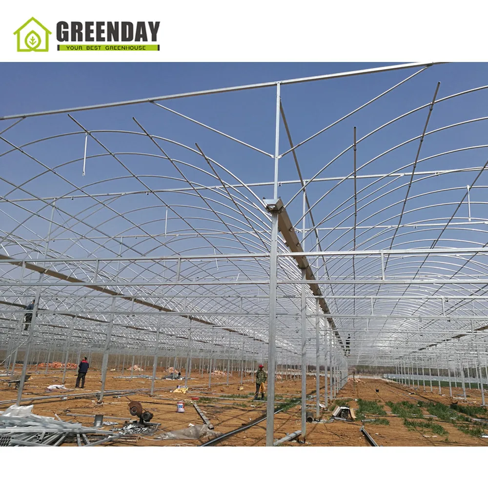 
GREENDAY Chinese morden plastic multi span greenhouse with irrigation system 