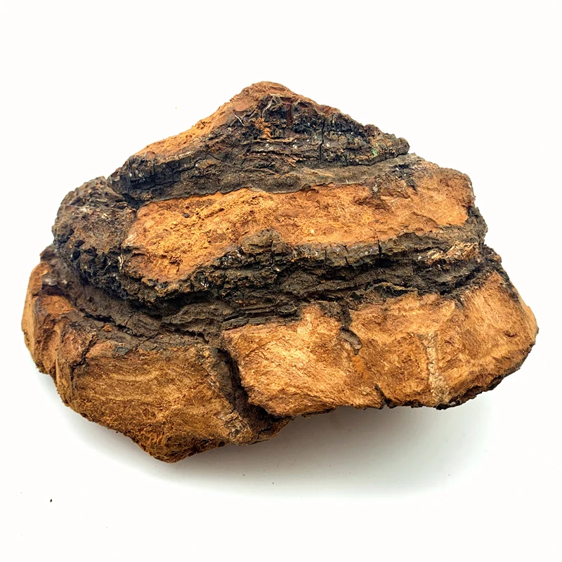 
100% Natural Wild Siberian Dried chaga mushroom chunks / Chaga Tea 
