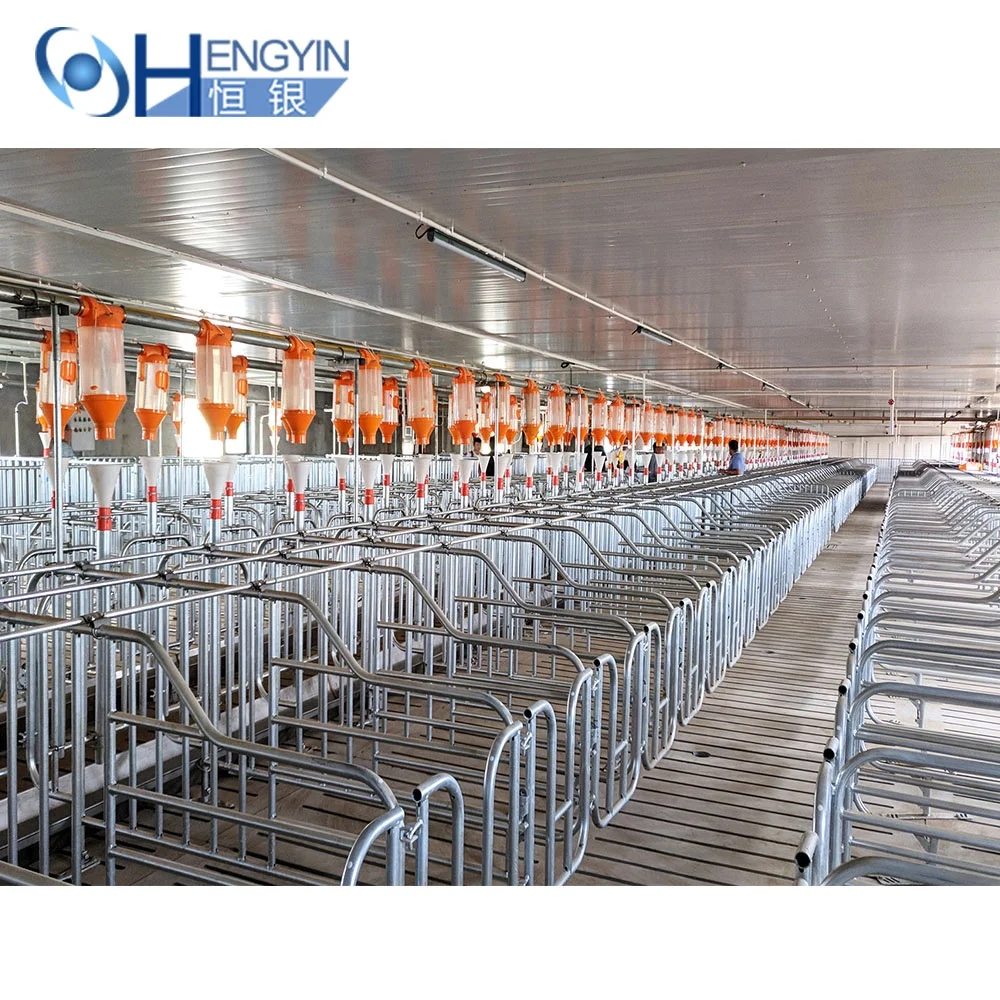 High quality feeding dispenser automatic feeding line for pig farm gestation crate plastic dosing cup