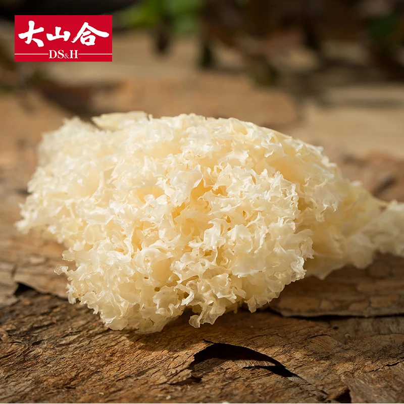 Shanghai factory wholesale white fungus green organic nutrition