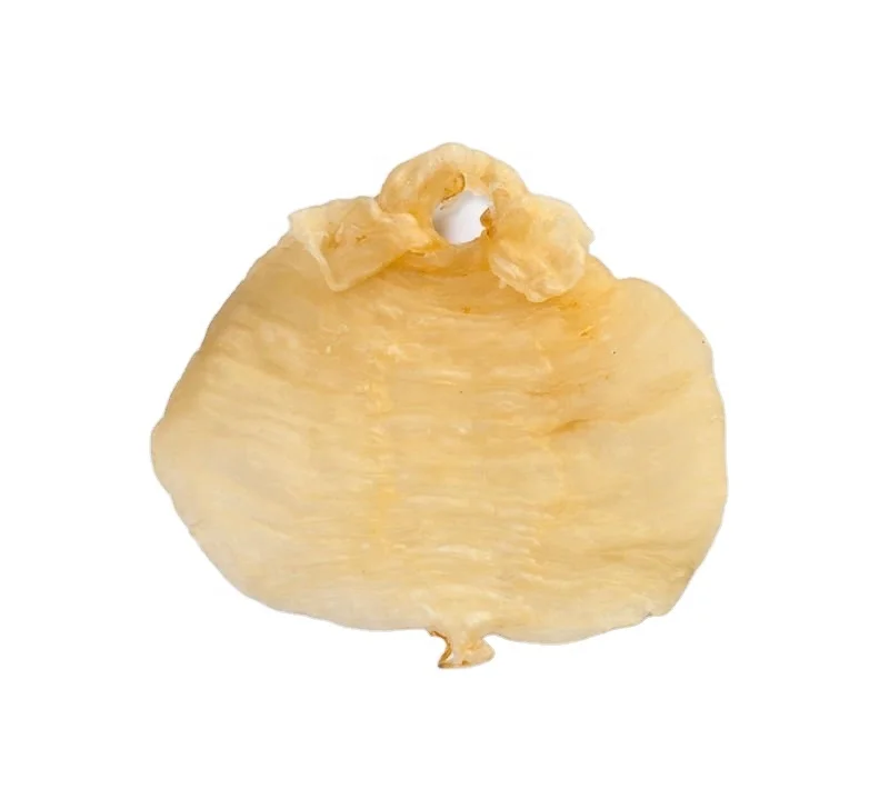 
Premium Quality from Thailand Dry Dried Fish Maw 