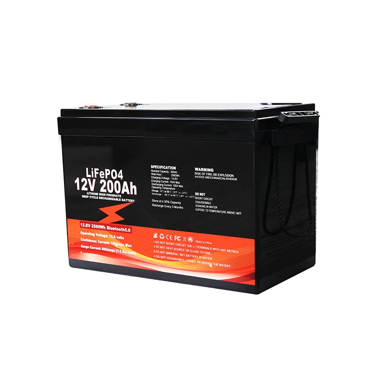 LiFePO4 12V 24V 48V 100AH 200AH Lithium iron phosphate battery pack for energy storage system DDP tax free